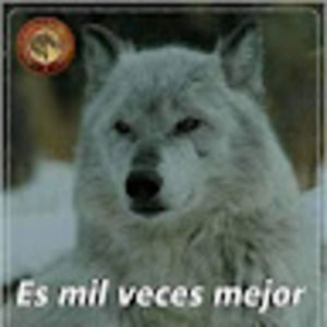 Meet your Posher, Ivan